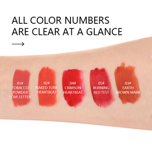 Maycheer Moisture Lipgloss Matte Clear Liquid Lipstick <span class=keywords><strong>Lip</strong></span> Gloss 5 Colors Wholesale <span class=keywords><strong>Lip</strong></span> Gloss Set Matte Finish <span class=keywords><strong>Lip</strong></span> Gloss - Product Image 6