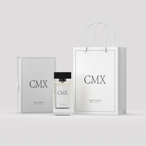 Confezione regalo di lusso con Logo personalizzato <span class=keywords><strong>da</strong></span> 60ml 80ml bottiglie di profumo rettangolari vuote <span class=keywords><strong>da</strong></span> 100ml con confezione e <span class=keywords><strong>borsetta</strong></span> - Product Image 1