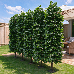 Stereoskopischer Künstlicher <span class=keywords><strong>Ficus</strong></span> Baum Hohe Simulation Banyan Baum Immergrüner <span class=keywords><strong>Ficus</strong></span> Baum für Innen- und Außendekoration - Product Image 1
