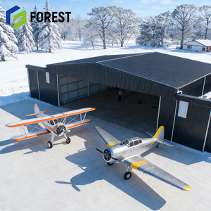 Hangar de Acero de Gran Envergadura Personalizado y Confiable, Fácil de Montar para Almacenamiento de Aviones, con Servicio de Diseño - Product Image 1