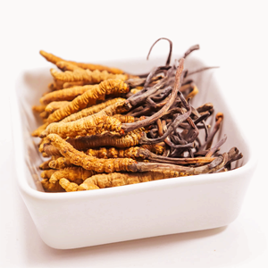 Natural Naqu <span class=keywords><strong>Cordyceps</strong></span> Tibet <span class=keywords><strong>Cordyceps</strong></span> Militaris <span class=keywords><strong>Real</strong></span> organik makanan <span class=keywords><strong>Cordyceps</strong></span> jamur - Product Image 1