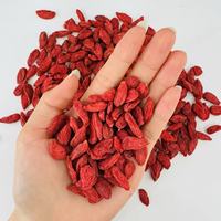 Baies de Goji Premium du Ningxia, Première Récolte, Grandes Tailles, Séchées, Rouges, Douces, Vente en Gros Direct Usine pour Cuisine, Thé et Boissons