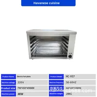 Nouveau barbecue électrique commercial mural, surface de cuisson, grill pour rôtir la viande et le poisson, réglable, sans fumée, en acier inoxydable