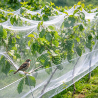 Filet anti-oiseaux durable pour la protection des étangs, des fermes avicoles, des terrasses, des jardins, des ruches, des colombiers, des vergers d'olives, de pommiers et de figuiers