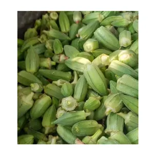 2022 Best Selling Product Food High Quality And Highly Nutritious Green Vegetable Natural Wonderful Delicious Fresh Okra