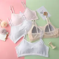 11 elementary school bras just under development 13 girls camisole girls 10- 12 years old 9 budding bras -  - Buy China shop at Wholesale  Price By Online English Taobao Agent