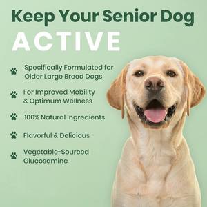 Compléments alimentaires pour la santé des articulations des animaux de compagnie, ingrédients naturels, enregistrés par la FDA, améliorent la mobilité des chiens, comprimés pour les articulations des chiens - Product Image 2