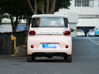 Wuling Hongguang Mini EV Macaron EV 2025 2024 nouveau 4 sièges 170km petite voiture électrique moteur électrique voiture électrique nouvelle voiture énergétique