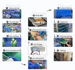 12V Lifepo4 Batterijpakket 50Ah 100Ah 200Ah 250Ah Lifepo4 Batterij voor Golf Elektrische Gereedschappen 6000 Cycli Bateria Lifepo4 24V - Product Image 6