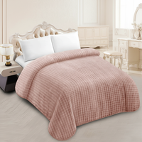 2-lagige 220x240CM Geprägte Umweltfreundliche Antibakterielle Polyester-Raschel-Decke im Europäisch-Amerikanischen Stil für Alle Jahreszeiten Maschinell Gewebt