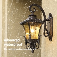 Applique murale LED étanche en aluminium moulé sous pression diffuseur en polycarbonate blanc chaud CCT pour jardin et rue montage mural extérieur