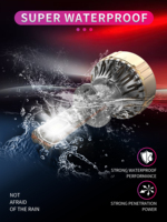 Ampoule de phare LED Gicoo R12 H1 30000LM 6000K 12V avec dissipation thermique par plaque de cuivre pour la mise à niveau et la rénovation automobile