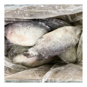 Dondurulmuş deniz ürünleri balık Tilapia tüm yuvarlak çin'den IQF 10 kg Tilapia WR balık istikrarlı kaynağı ile - Product Image 6
