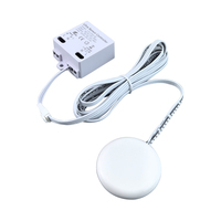 Interruptor con Sensor Táctil Oculto (Sin Regulación) de Alta Tensión y Potencia DC/AC 24V-265V 220V para Armario, Guardarropa, Alacena