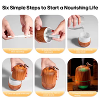 Portable Mini Soft Light Aroma Diffuseur Humidificateur Créativité Personnalisée USB Humidificateur D'air