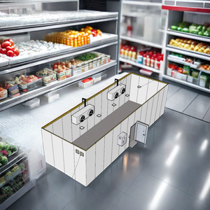 Sala de congelación con aislamiento comercial, almacenamiento frío de helados - Product Image 3