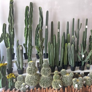 Maceta con Árbol Artificial para Decoración de Jardín, Hojas Verdes, Planta Artificial para Interiores, Cactus, Venta al Por Mayor de Fábrica - Product Image 3