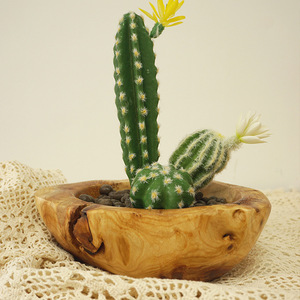 Maceta de madera hecha a mano, estilo rústico, para el hogar, bandeja de almacenamiento para exhibición de plantas de escritorio, cuenco multiusos - Product Image 2