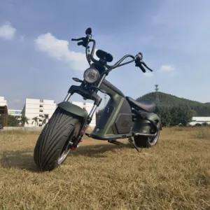 Amoto ue entrepôt 60V 20Ah cee approuvé Citycoco hors route scooter électrique chopper e-scooters M8 nouveau design moderne