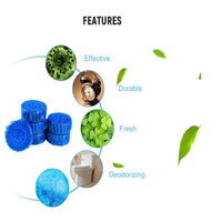 Tablettes solides bleues automatiques de décontamination écologiques jetables de haute qualité, directement de l'usine, pour cuvettes de toilettes, durée 14 jours
