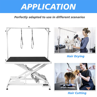 Table de toilettage pour chien mobile électrique EUR PET Shernbao FT-808