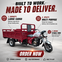 Tricycle cargo à essence 200cc, refroidissement par air, 4 temps, cadre anti-corrosion, moteur, carrosserie ouverte