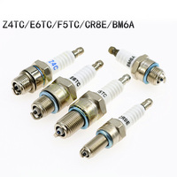 Moteur à essence 2 temps 49cc 50cc 66cc 80cc pour vélo motorisé, cyclomoteur, scooter Z4C, bougie d'allumage d'origine