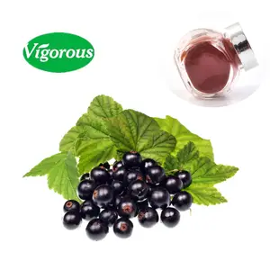 Suministro de fábrica puro natural de alta calidad muestra gratis Aristotelia chilensis fruta en polvo <span class=keywords><strong>Maqui</strong></span> Berry en polvo - Product Image 1