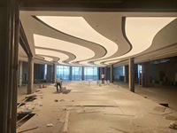 Boîte à lumière incurvée professionnelle à film souple irrégulier pour plafond tendu - Membrane rétroéclairée UV IP65, Conception de cadre en aluminium flexible