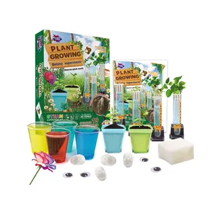 植物学户外玩具种植你自己的花园茎教育青少年儿童园艺套装8-14岁儿童科学套装