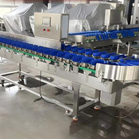 Automatische avocado- en groentegewichtsorteermachine met nauwkeurige temperatuurregeling voor fruit- en groenteverwerkingsbedrijven
