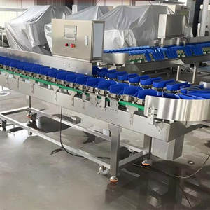 Máquina Automática de Clasificación de Peso para Aguacates y Vegetales con Control Preciso de Temperatura para Plantas de Procesamiento de Frutas y Vegetales - Product Image 4