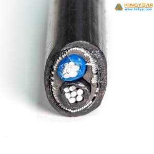 สายอลูมิเนียมตรงกลาง XLPE centric 2X16mm 2X6AWG 600V - Product Image 3