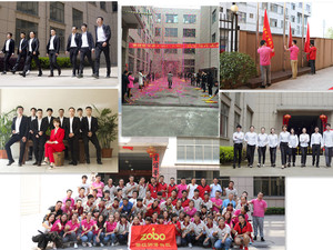 ZOBO Thiết Kế Mới 40kw Bếp Pellet Gỗ Với Giá Cả Hợp Lý - Product Image 4