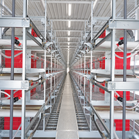 Système de cages à poules pondeuses de type H à cadre stable, équipement avicole automatique pour l'élevage de poules pondeuses, prix de gros