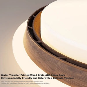 2025 mô hình mới không cánh quạt trần ánh sáng Trần cao đèn chùm dẫn ánh sáng Trần với điều khiển từ xa cho ngôi nhà - Product Image 6