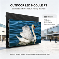 Modul Layar LED Warna Penuh Outdoor P2.5/P3/P4/P5/P6/P6.67/P8/P10 320x160mm/192x192mm/256x128mm/160x160mm