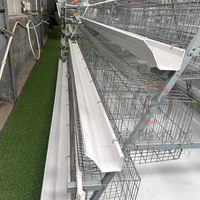 Cage à poulets à 3 niveaux de type A à haute capacité, galvanisée à chaud, avec système automatique d'abreuvement et de nettoyage des déjections pour projets avicoles en Afrique