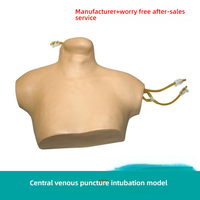 Modèle de formation au cathétérisme veineux central en PVC, simulateur de ponction de la veine jugulaire interne pour les sciences médicales cliniques