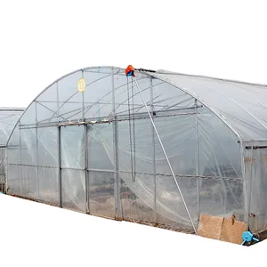 中国阿里巴巴供应商单跨温室水培系统番茄种植系统