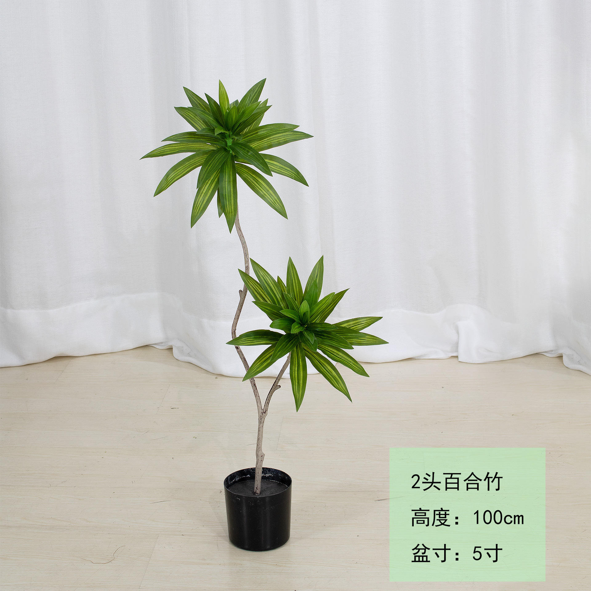 Lily bamboo 100-210cm