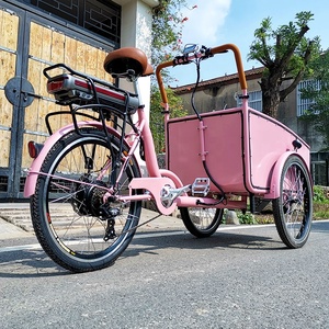 <span class=keywords><strong>Tricycle</strong></span> pour <span class=keywords><strong>adultes</strong></span> en promotion, directement de l'usine, <span class=keywords><strong>tricycle</strong></span> cargo familial avec ceintures de sécurité pour enfants - Product Image 1