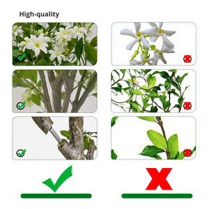 Jazmín Artificial de Alta Calidad con Flores Blancas de Plástico, Hojas Artificiales Realistas, 160 cm de Altura, Personalizable - Product Image 3