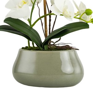 Fiori di orchidea di seta di plastica <span class=keywords><strong>in</strong></span> <span class=keywords><strong>vaso</strong></span> di ceramica Bonsai artificiali orchidea bianca <span class=keywords><strong>orchidee</strong></span> <span class=keywords><strong>in</strong></span> <span class=keywords><strong>vaso</strong></span> finte alte - Product Image 2