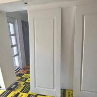 Porte intérieure moderne en polymère à design épuré avec surface finie pour chambre, hôtel, maison, bureau – Remplacement de porte