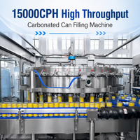 Machine de remplissage entièrement automatique pour boissons gazeuses et eau pétillante en canettes aluminium 500 ml