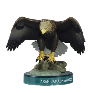 Cnファクトリーのアニメの動物メーカープレイヤー Alibaba Comで1番人気のcnファクトリーのアニメの動物メーカープレイヤーを買おう