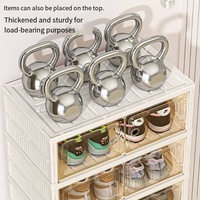 Nouvelle Armoire à Chaussures Pliable Magnétique Anti-Poussière 2026, Installation Facile, Boîte à Chaussures Transparente Pliante