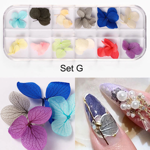 Noël nouvelle arrivée fleur sèche pour la décoration des ongles - Product Image 3