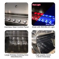 Barbecue au gaz encastrable en acier inoxydable pour cuisine extérieure, petit barbecue au propane à 5 brûleurs pour jardin